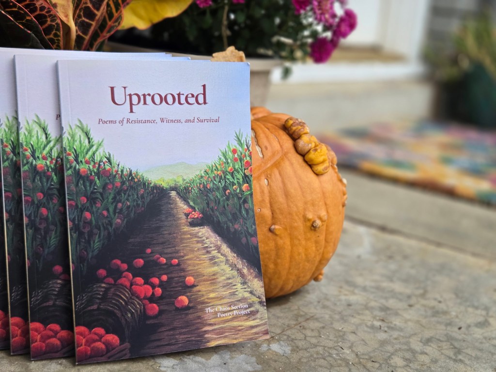 Several  paperback copies of Uprooted: Poems of Resistance, Witness, and Survival leaning against an orange pumpkin on a porch, with fall flowers behind them.